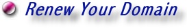 Renew Your Domain Name